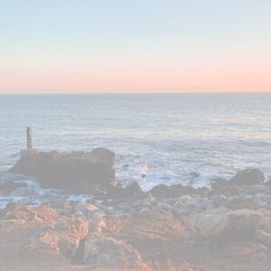 Meet your Posher, Mich